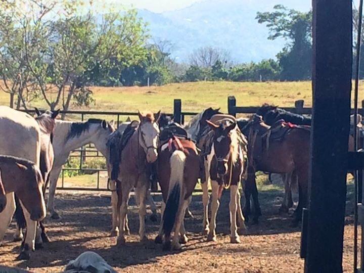 Hotel Hacienda El Rodeo Vueltas Exteriör bild