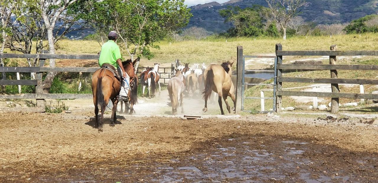 Hotel Hacienda El Rodeo Vueltas Exteriör bild