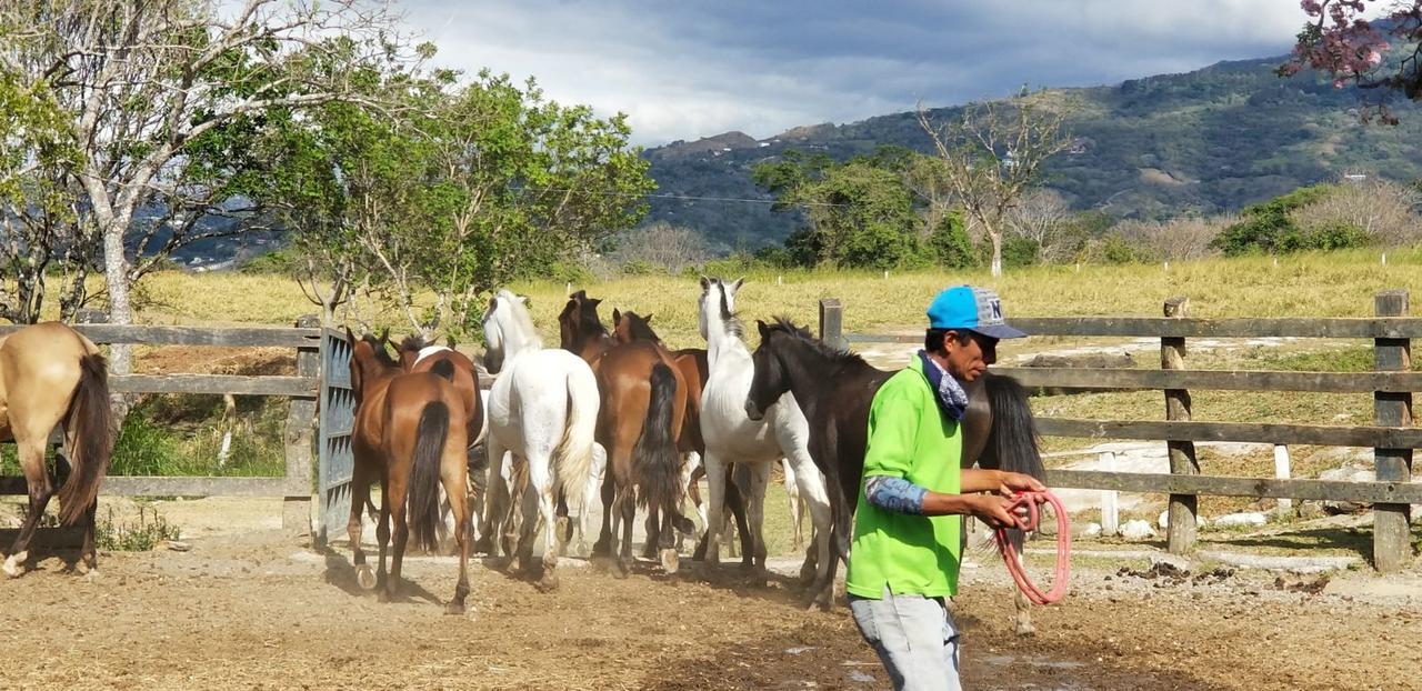 Hotel Hacienda El Rodeo Vueltas Exteriör bild