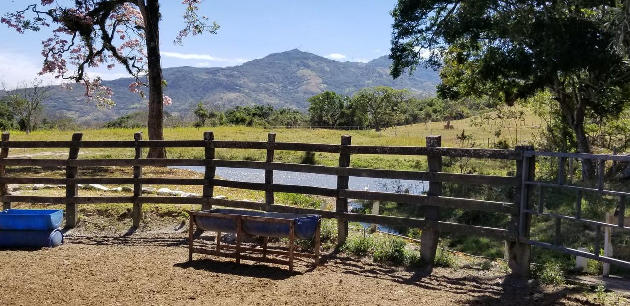 Hotel Hacienda El Rodeo Vueltas Exteriör bild